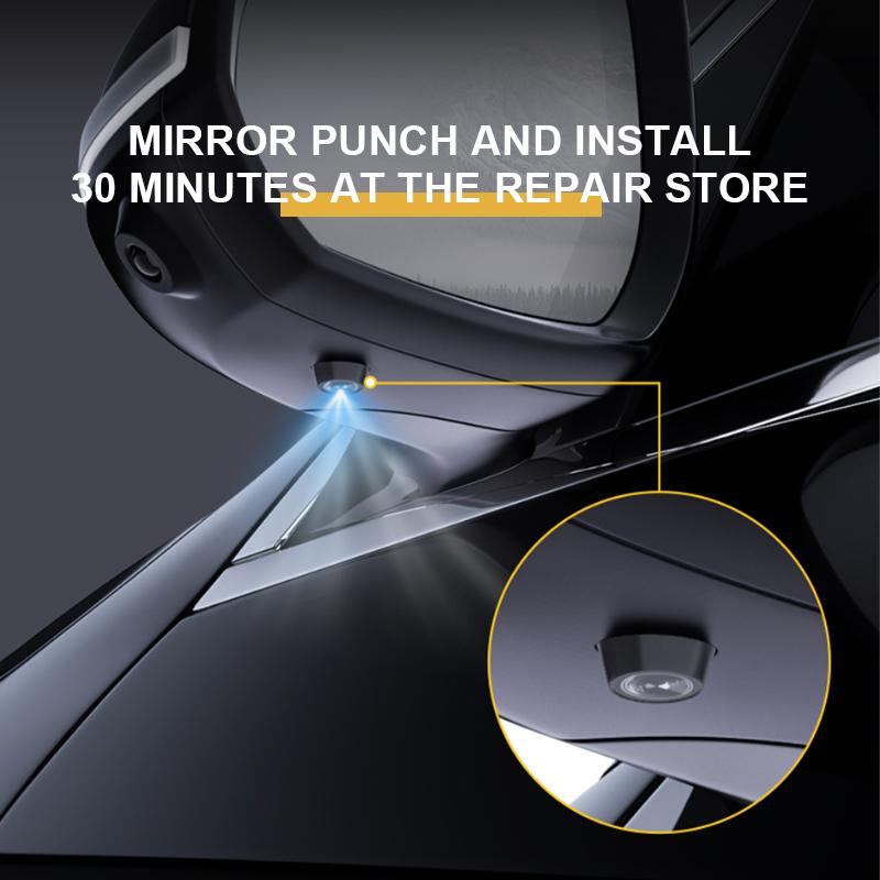 SEAMETAL 2pcs Car LED Courtesy Light Door Step Ground Angel Wing Projection Lamp