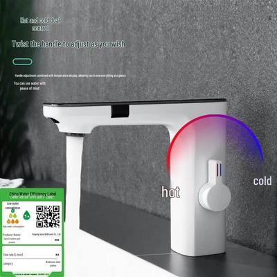 Baie și WC – Robinete pentru baie şi duş