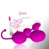 Kegel Ball Vagina Exercise Tighten Trainer Silicone Ben Wa Balls Love Ball Sex Vaginal Bolas Vibrator Sex Products for Women