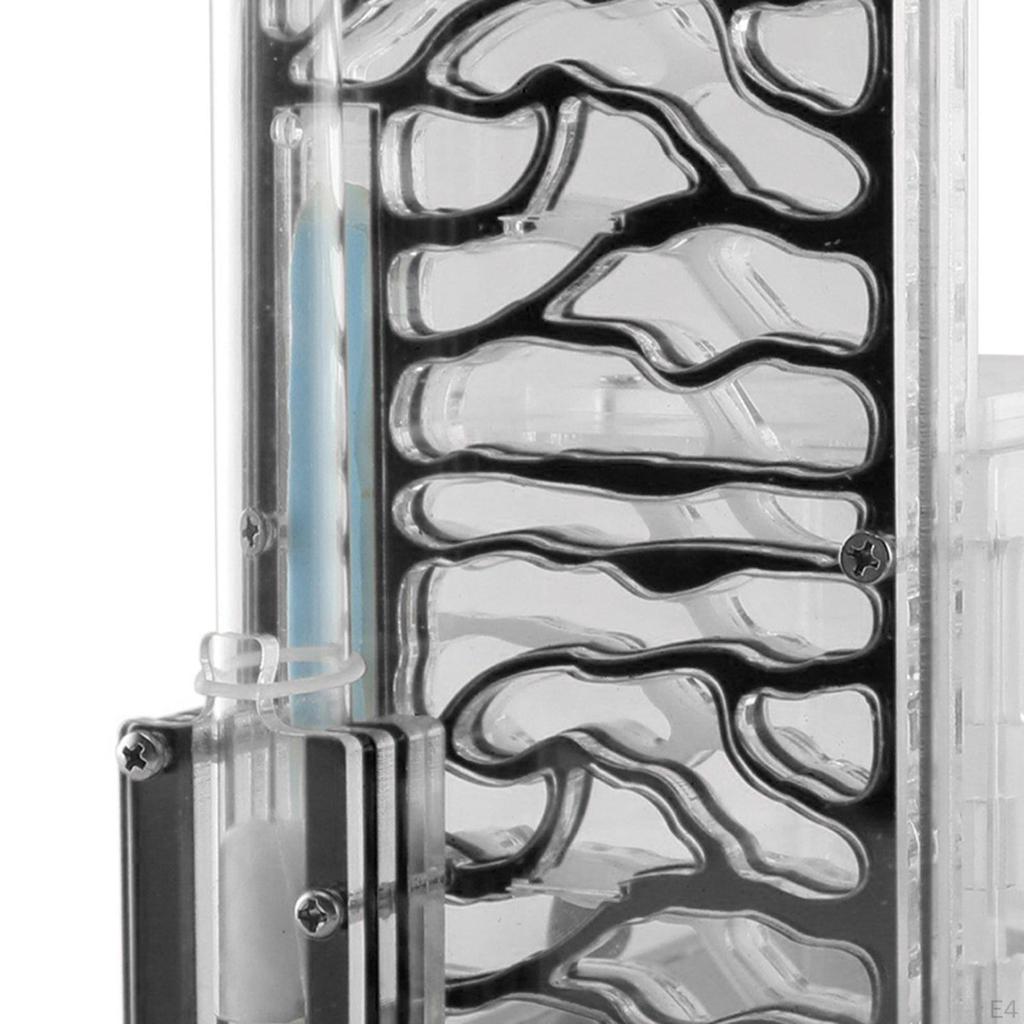 Compact DIY Moisture Nest Box for Science Observation Living Room Home Kitchen