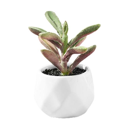 Dobrý květináč Ekologický přenosný a poutavý