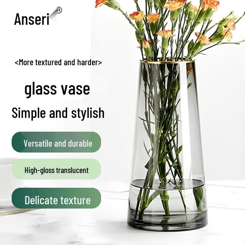Anserui Transparent Glass Vase, 22cm