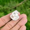 Thanks Giving Day Deal 925 Silver Chrysoprase Gemstone Solitaire Ring Jewelry