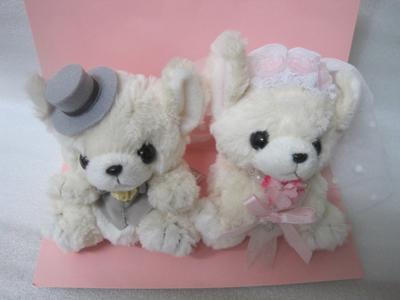Takenoko Wedding Set Chihuahua 23505