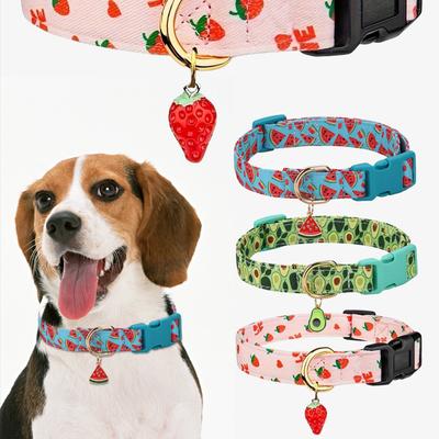 Köpek – Köpek Tasmaları ve Tasma Kayışları