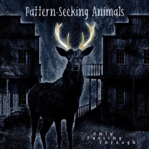 Pattern-Seeking Animals - Only Passing Through [Vinyl] Gatefold LP Jacket, With