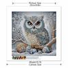 New Arrival 5D DIY Full Circle Diamond Painting "Owl" Embroidery Cross Stitch Home Decor Gift