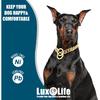 12mm Gold Cuban Link Dog Collar - Stainless Steel Chain Collar with O-Ring Lock for Small, Medium & Large Dogs - Adjustable Heavy Duty Pet Walking
