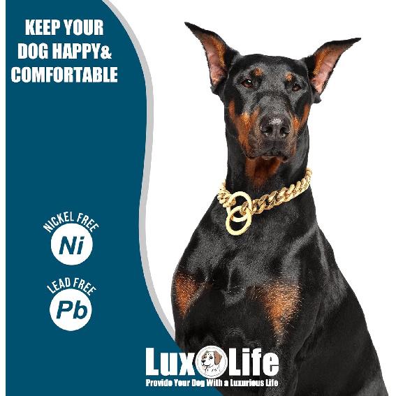 12mm Gold Cuban Link Dog Collar - Stainless Steel Chain Collar with O-Ring Lock for Small, Medium & Large Dogs - Adjustable Heavy Duty Pet Walking