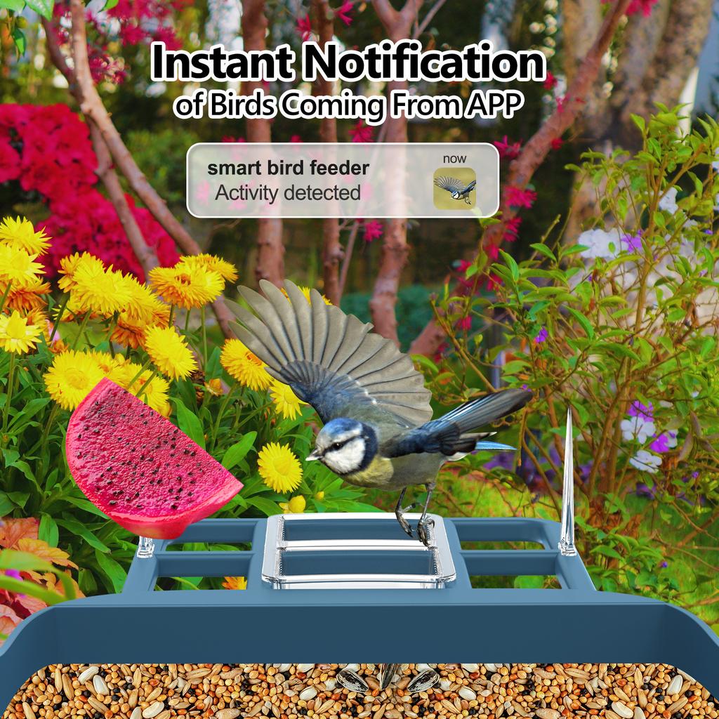 Intelligent bird feeder, high-definition solar-powered AI bird recognition camera bird feeder