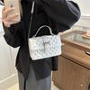 2025 Summer New Trend Simple Oblique Span Simple Commuter Niche Small Square Bag Fashionable Shoulder Popular Bag