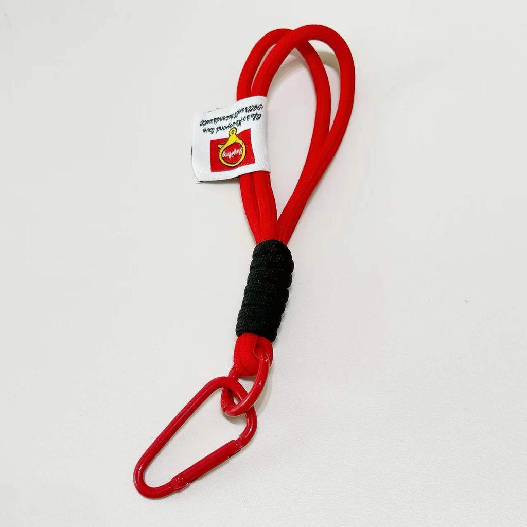 Stylish Color-Matching Phone Lanyard - Multi-Functional Key Chain, Backpack Hanging Rope & Decorative Ornament for All Phones