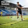 Adjustable Agility Ladders High Quality Nylon Straps Speed Training Equipment for Football Youth Sports Practice