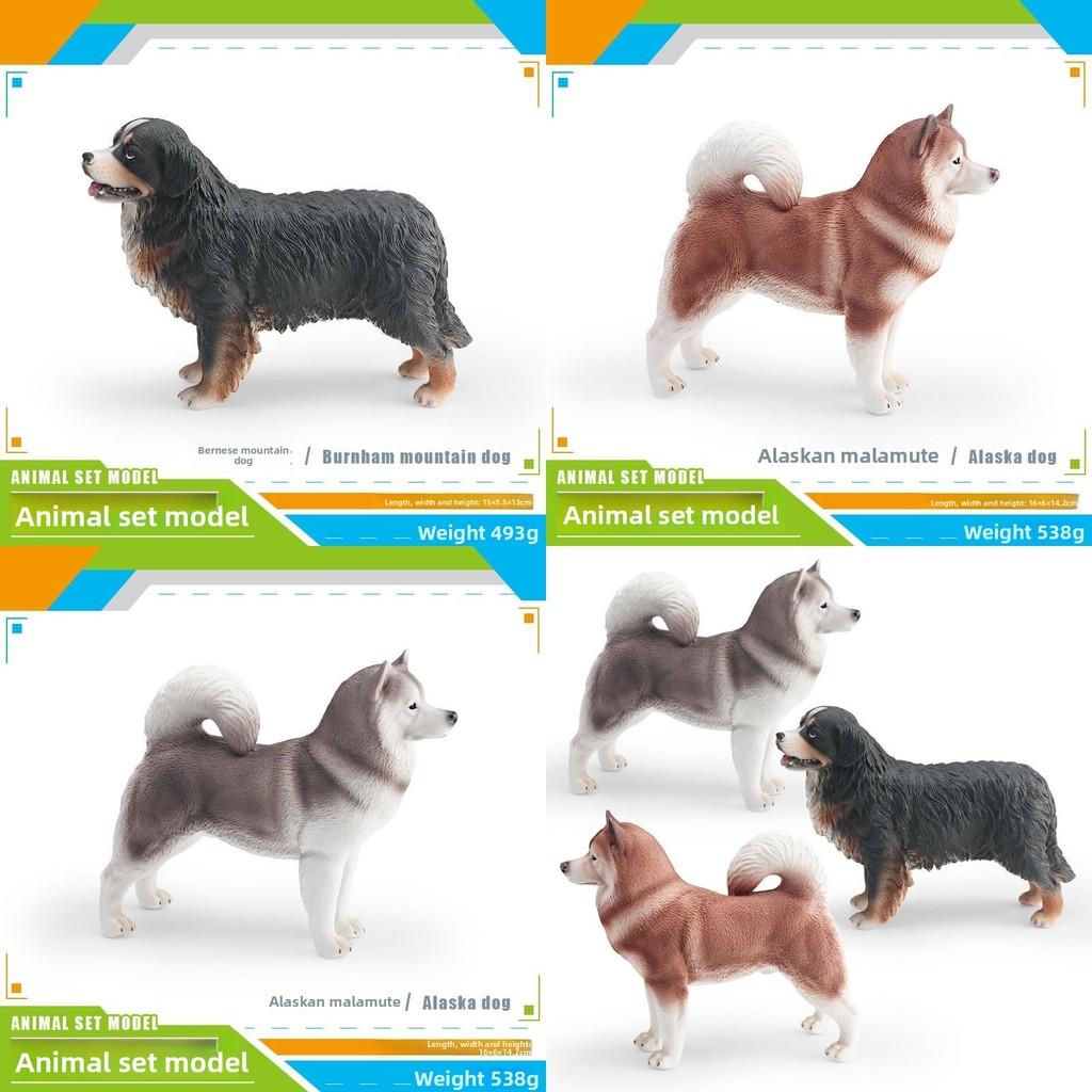 Pet Bernese Mountain Dog Alaskan Pvc Static Models For Kids Gift Learning
