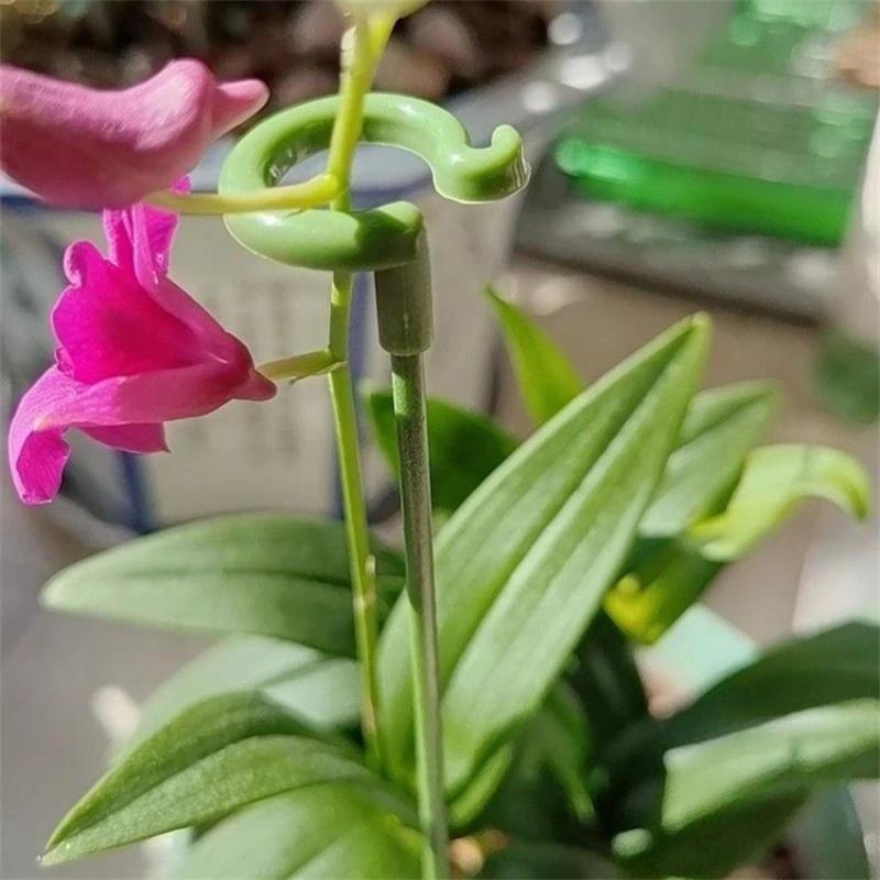 10PCS 17CM Plant Grow Cage Ring Fiberglass Plant Stake Indoor Orchid Rose Single Stem Support Stake