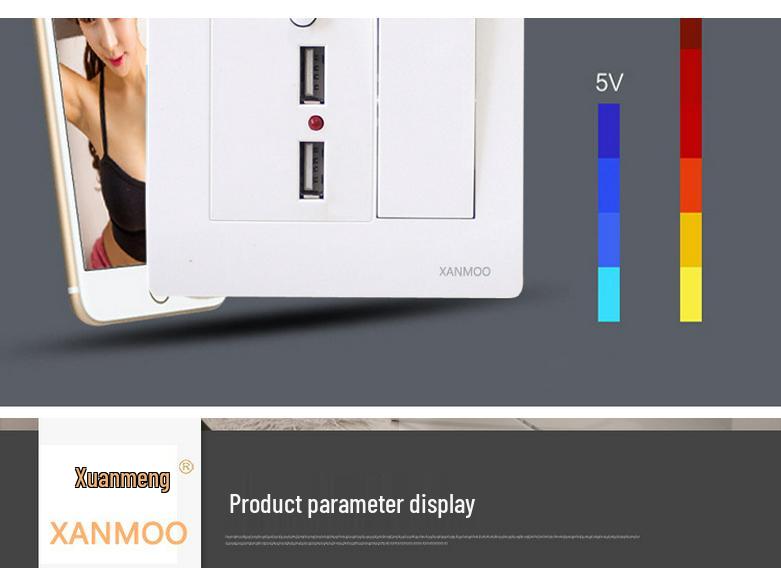 Type 86 Wall Single Pole Double Throw Switch with Dual USB Socket for Household