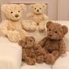 Cartoon Cute Bear Hug Bear Doll Plush Toy Teddy Bear Doll Children'S Doll Birthday Gift