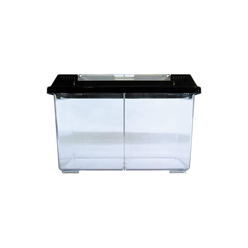 Small Plastic Case