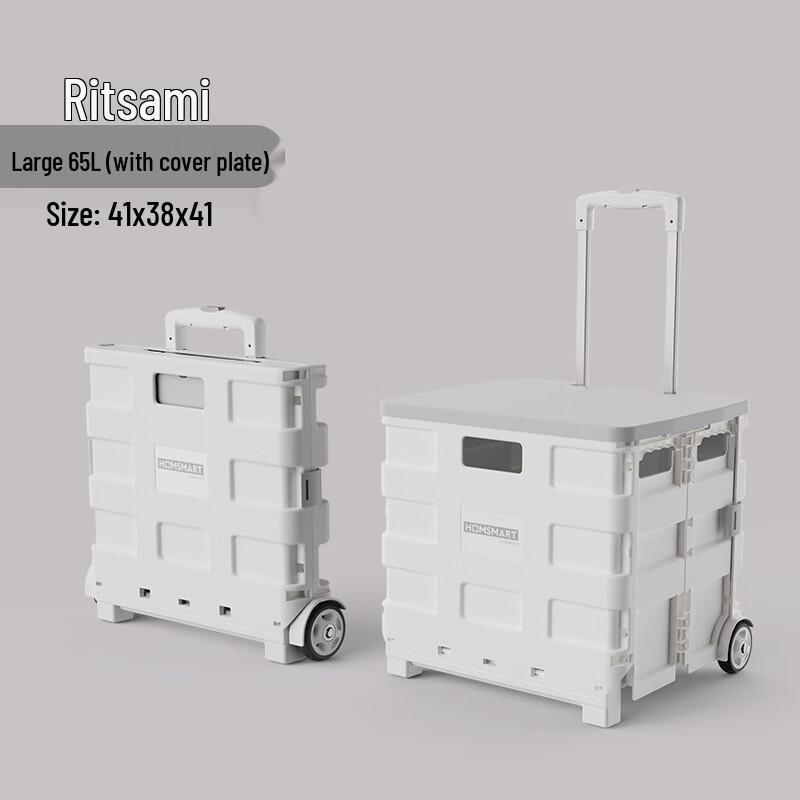 Portable Folding Two-Wheel Plastic Shopping Cart