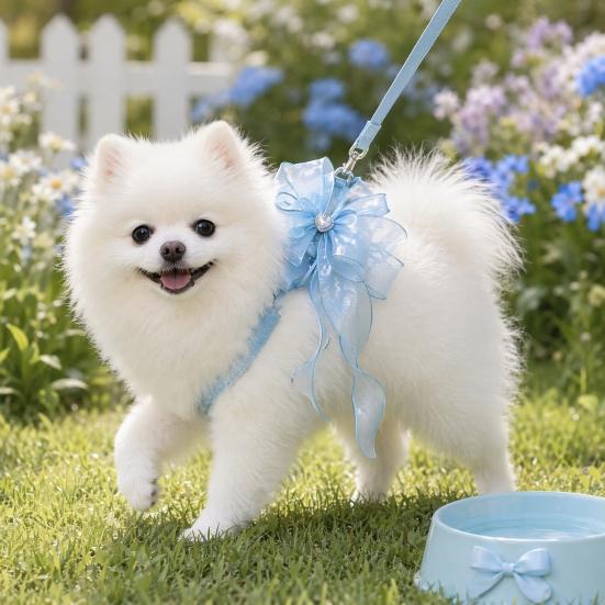 Cat And Small Dog Harness and Leash Set Adjustable H-Style Pet Harness