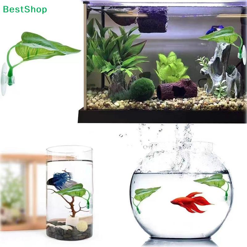 Betta Fish Tank Accessory – Dual-Layer Resting Leaf with Suction Cup for Easy Installation