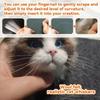 Kedi – Kediler için giyim