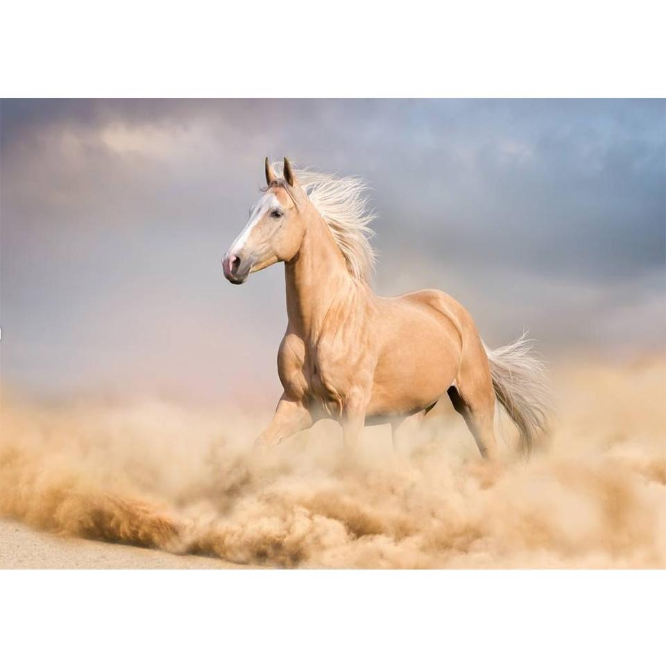 5D DIY Diamond Painting Animal Cross Stitch Kit Full Diamond Embroidery Horse Rhinestone Picture Mosaic Home Decoration Gift