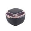 Lock Case Portable Mouth Protection Box Oral Cleaning Fake Dental Prosthetics Storage Box Dental Appliance Orthodontic Box