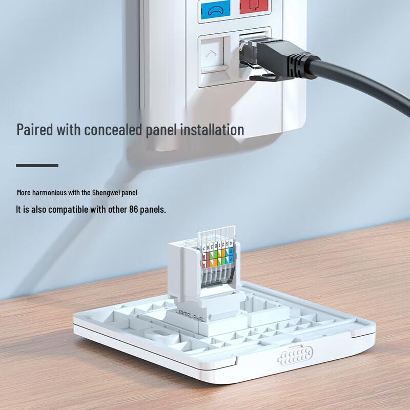 Shengwei CAT6 Tool-less RJ45 Network Module