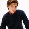 Tommy Hilfiger Men's Cable Knit Pure Cotton Round Neck Sweater