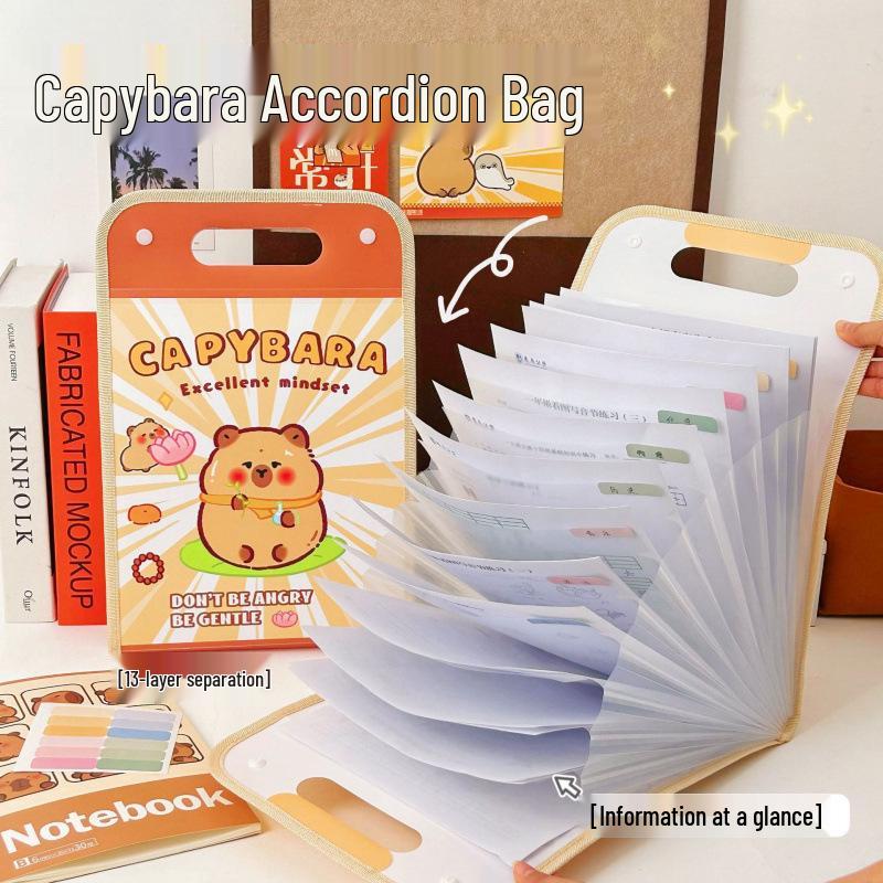 

Capybara Cartoon Accordion Folder: Large Capacity Student Handheld Storage Bag