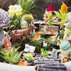40 buc Animale Mini Rășină 40 Stiluri Animale Mici Rășină Figurine Animale Mici Mici en Gros pentru Grădină Micro Zâne Accesorii Peisaj