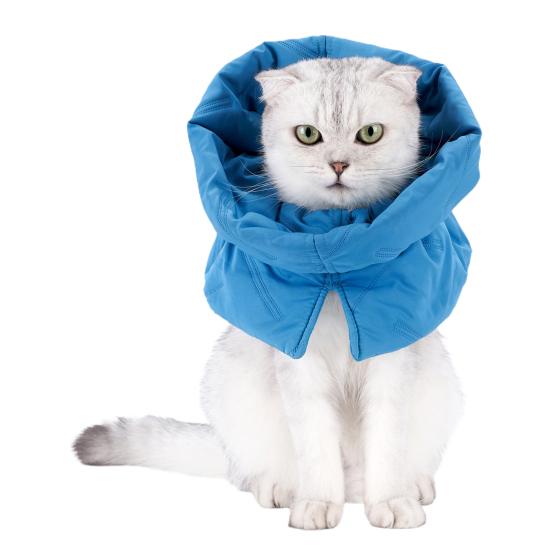 Katze Schutzkragen Verstellbar Winddicht Hautfreundlich Beißschutz Polyester Wundheilung