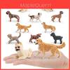 Boxer Dog Pvc Model For Kids Educational Toy Collectors Animal Figurine