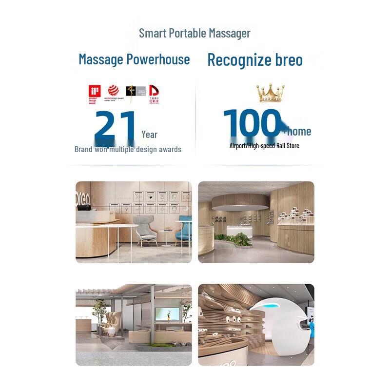 Breo Back 1 Spinal & Waist Therapy Pillow