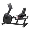 Commercial Magnetic Recumbent Exercise Bike