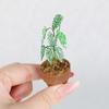 1:12 Miniature Simulation Flower Pot Green Plant Potted Model Dollhouse Home Decoration Micro Landscape Scene Ornament