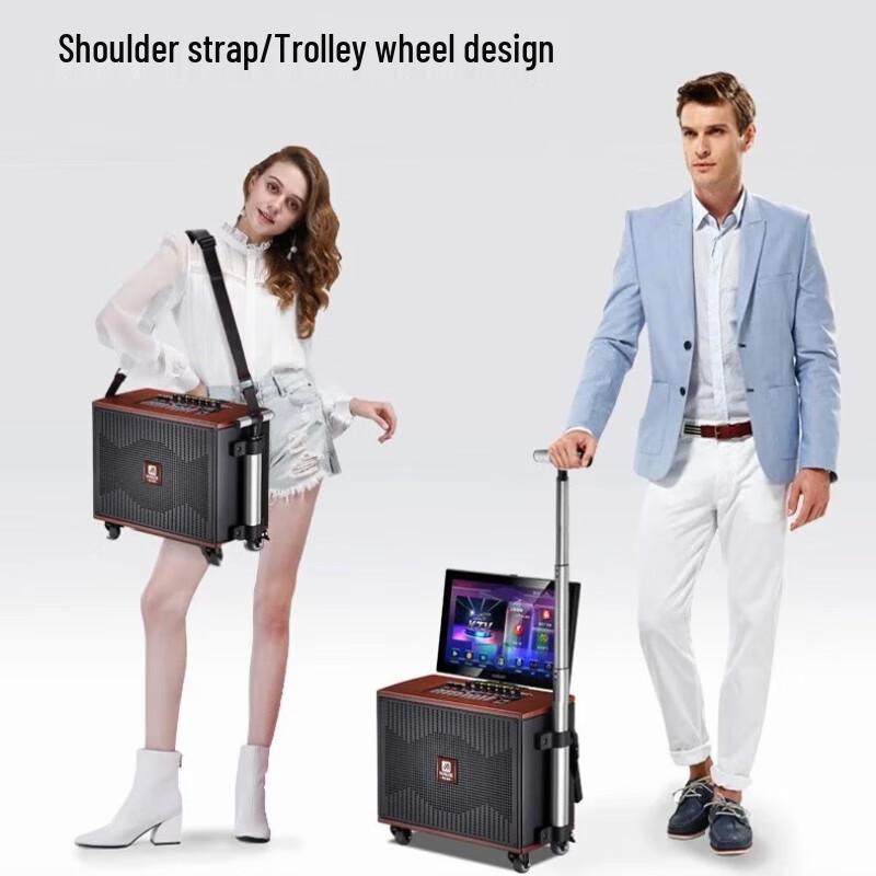 Malone KTV Karaoke Speaker System