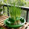 Ghivece de flori și coșuri – Containere pentru răsad