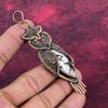 Peanut Wood Jasper Real Gemstone Pendant Owl Pendant Copper Wire Wrapped Jewelry