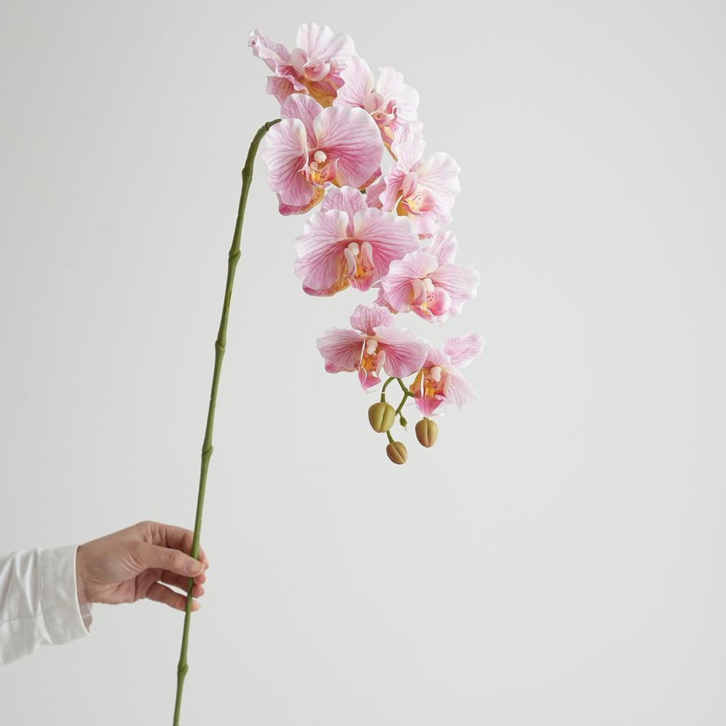 Künstliche Phalaenopsis Orchideenblüten Hochzeit Dekorative Phalaenopsis Realistische Orchidee Lange Stiele 9 Köpfe Heim Indoor Deko