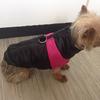 S-5XL Impermeabil Pet Dog Jacket Jacket Îmbrăcăminte Iarnă Călduță Câini Haine Haina Pentru Câini