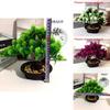 Pinus Hwangshanensis Artificial Bonsai With Plastic Material For Home Decor And Gift Use