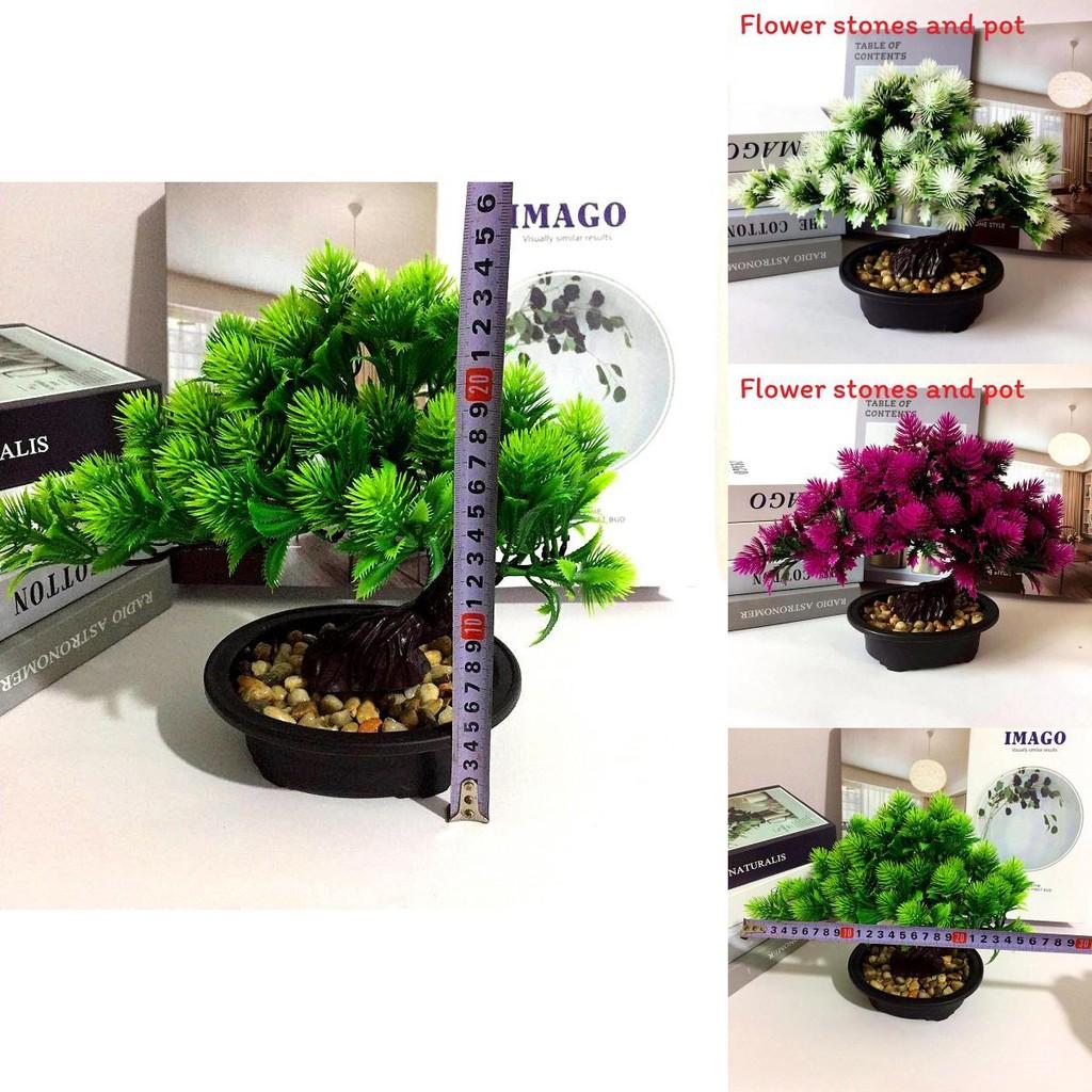 Pinus Hwangshanensis Artificial Bonsai With Plastic Material For Home Decor And Gift Use