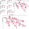 DECOWALL Watercolor Cherry Blossom Wall Sticker Decorate for DIY Wall Transfer Wall Art Sticker Bathroom Room Infant DWL-2003P1903 - Kindergarten,