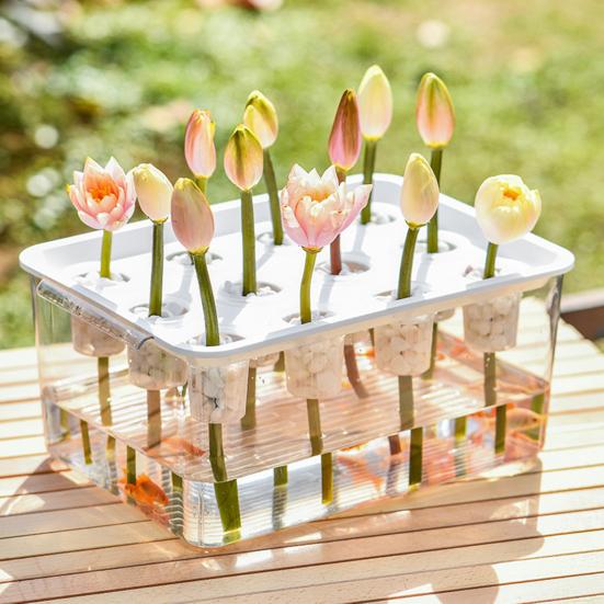 

Transparent Hydroponic Planter Box with 12 Holes Lid Handle Plastic Rectangle Hydroponic Flower Succulent Plants Holder Container білий
