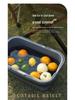 Tragbarer faltbarer Picknickkorb mit Tischplatte und Wassereimer für Outdoor-, Camping-, Strand- und Frühlingsausflüge.