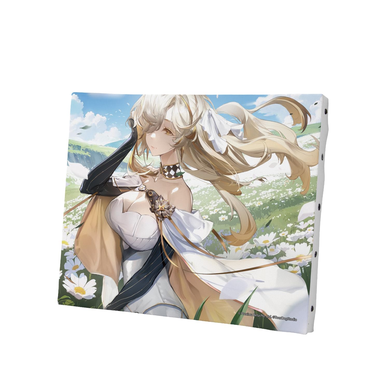 

Joshua Canvas Board