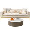 Sofa Cushion High-Grade Non-Slip Sofa Cover Anti-Scratching Non-Stick Fur Four Seasons Universal Sofa Cover Cover