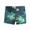 Mens Graphic Print Snug Fit Swimming Trunks